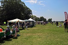 A Glorious Day for a Big Picnic