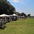 bigpicnic4