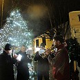carolsingingbandtreewebsite
