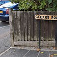 cedars-road-opp-iain-b-w1000h1000-2