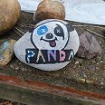 p10104822-panda