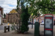 Our very sad, half-dead Christmas tree