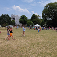 A perfect summer's day