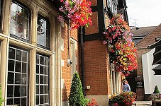 Richmond in Bloom 2017